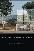 front cover of Seeing Through Race