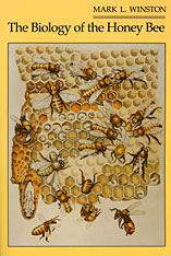 front cover of The Biology of the Honey Bee