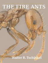 front cover of The Fire Ants