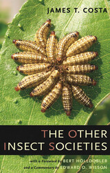 front cover of The Other Insect Societies