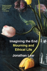 front cover of Imagining the End