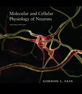 front cover of Molecular and Cellular Physiology of Neurons