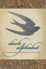 front cover of Dark Alphabet