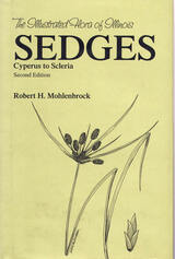 front cover of Sedges