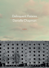 front cover of Delinquent Palaces