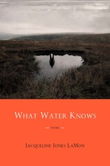 front cover of What Water Knows