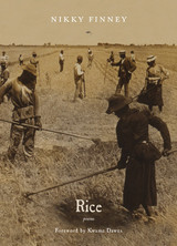 front cover of Rice