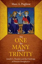 front cover of The One, the Many, and the Trinity
