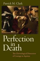 front cover of Perfection in Death