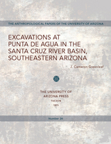 front cover of Excavations at Punta de Agua in the Santa Cruz River Basin, Southeastern Arizona
