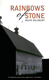 front cover of Rainbows of Stone