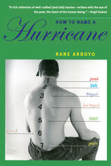 front cover of How to Name a Hurricane