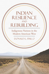 front cover of Indian Resilience and Rebuilding