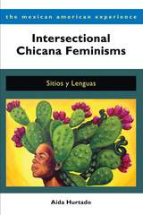 front cover of Intersectional Chicana Feminisms