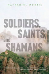 front cover of Soldiers, Saints, and Shamans