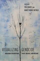 front cover of Visualizing Genocide
