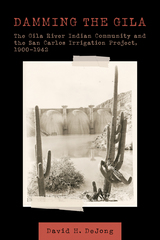 front cover of Damming the Gila