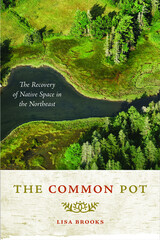 front cover of The Common Pot