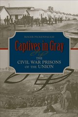 front cover of Captives in Gray