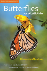front cover of Butterflies of Alabama