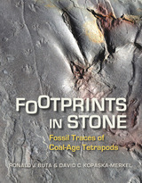 front cover of Footprints in Stone