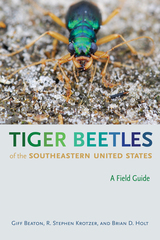 front cover of Tiger Beetles of the Southeastern United States
