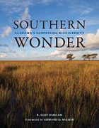 front cover of Southern Wonder
