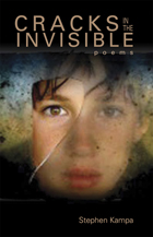 front cover of Cracks in the Invisible