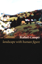 front cover of Landscape with Human Figure