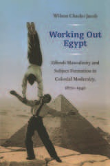 front cover of Working Out Egypt