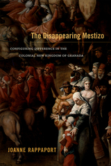 front cover of The Disappearing Mestizo