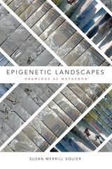 front cover of Epigenetic Landscapes