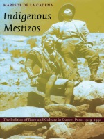 front cover of Indigenous Mestizos