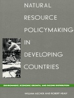 front cover of Natural Resource Policymaking in Developing Countries