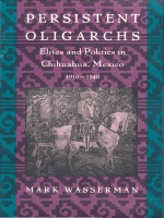 front cover of Persistent Oligarchs