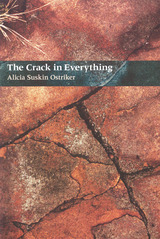 front cover of The Crack In Everything