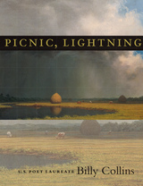 front cover of Picnic, Lightning