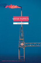 front cover of Water Puppets