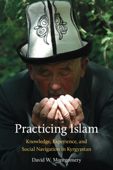 front cover of Practicing Islam