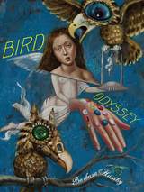 front cover of Bird Odyssey
