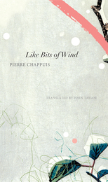 front cover of Like Bits of Wind