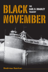 front cover of Black November