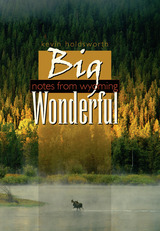 front cover of Big Wonderful