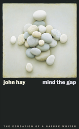 front cover of Mind The Gap