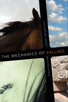 front cover of The Mechanics of Falling and Other Stories