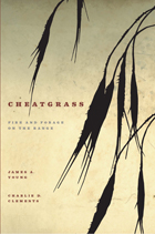 front cover of Cheatgrass