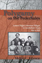front cover of Polygamy on the Pedernales