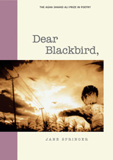 front cover of Dear Blackbird,
