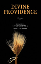 front cover of DIVINE PROVIDENCE