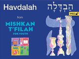 front cover of Mishkan T'filah for Youth Visual T'filah (Havdalah Pro)